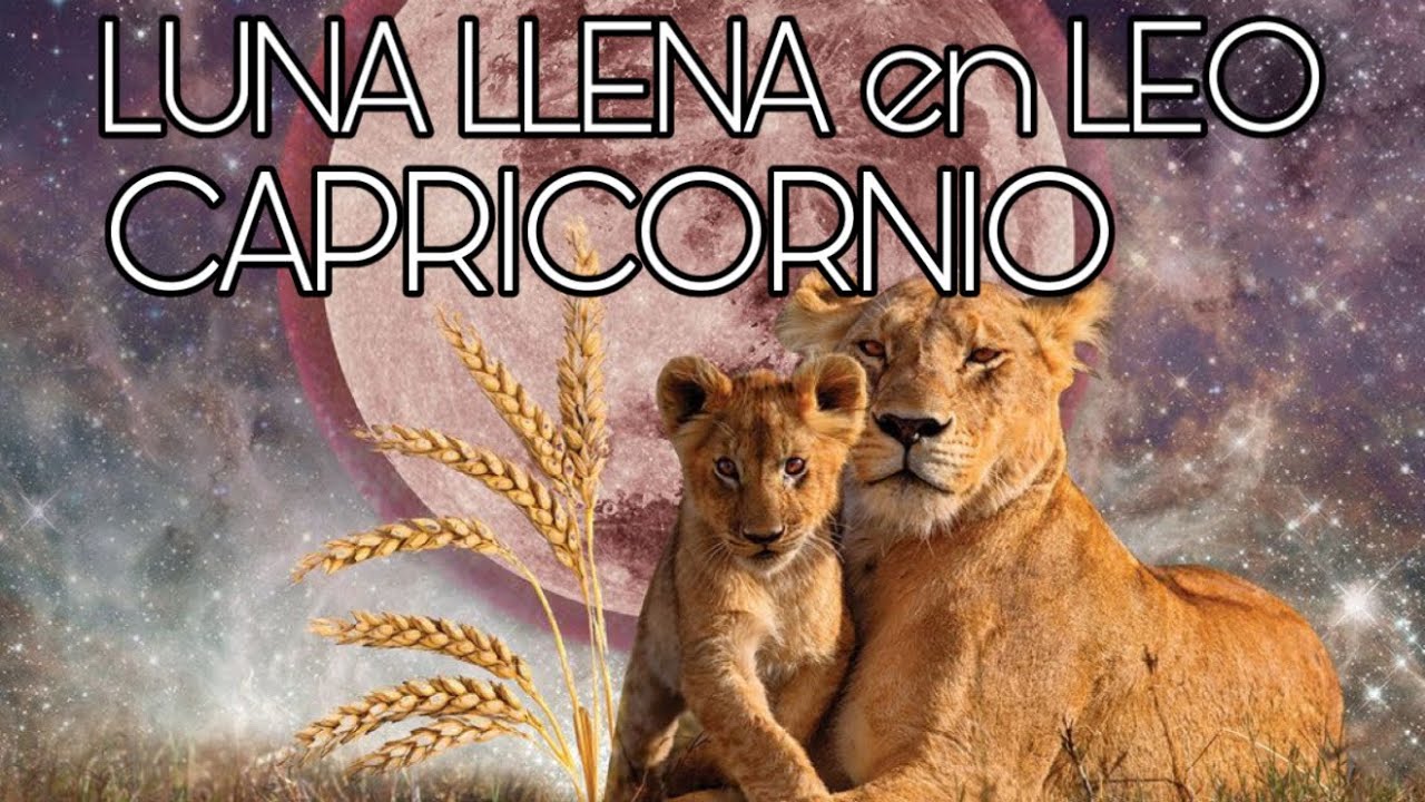 CAPRICORNIO ♑️ LUNA LLENA EN LEO 1-2-2026…WOOOW!!!…EL CAMINO SAGRADO DE TU CORAZÓN!!!…➡️➡️➡️🙌🏻♑️