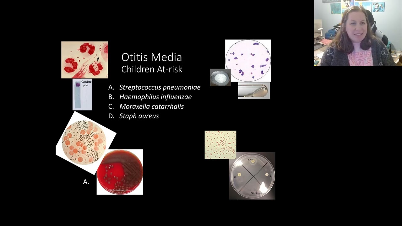 Заболевания органов дыхания