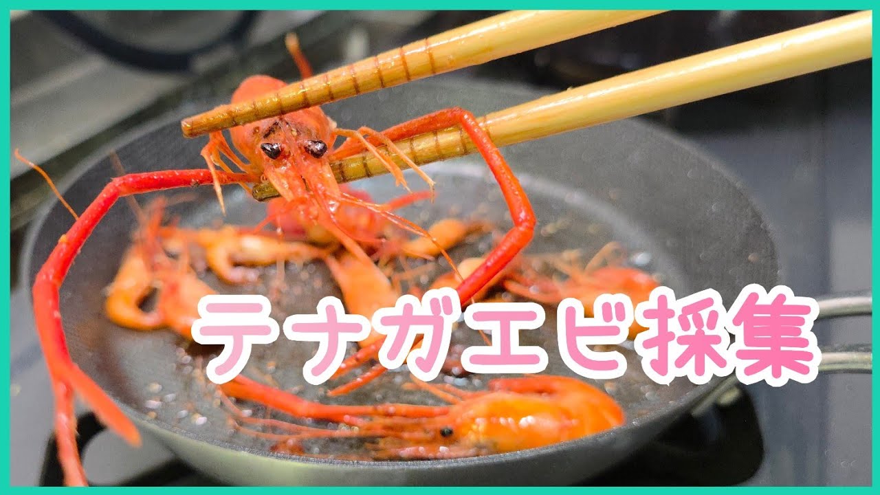 【手長エビ】深夜の東京でエビ網を振り回すアラサー３人【サバイバル】
