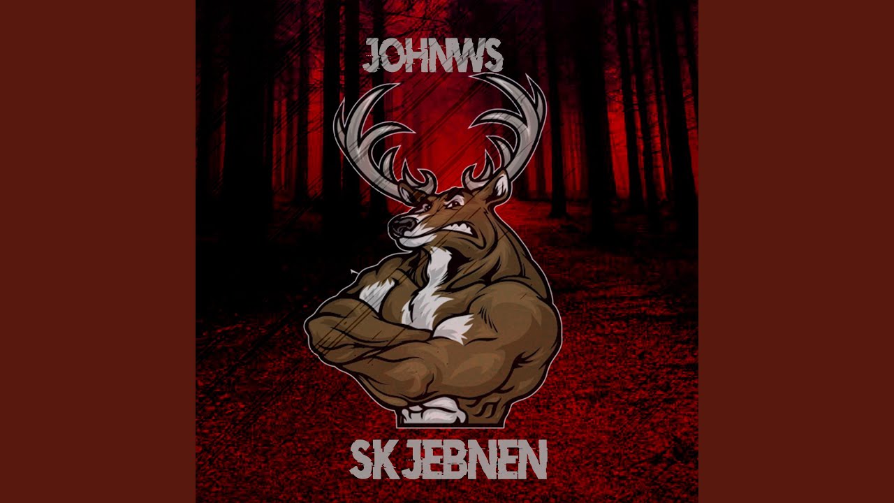 Skjebnen