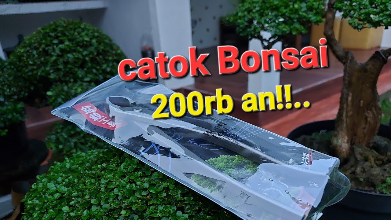 Review catok Bonsai harga 200rb an!!...
