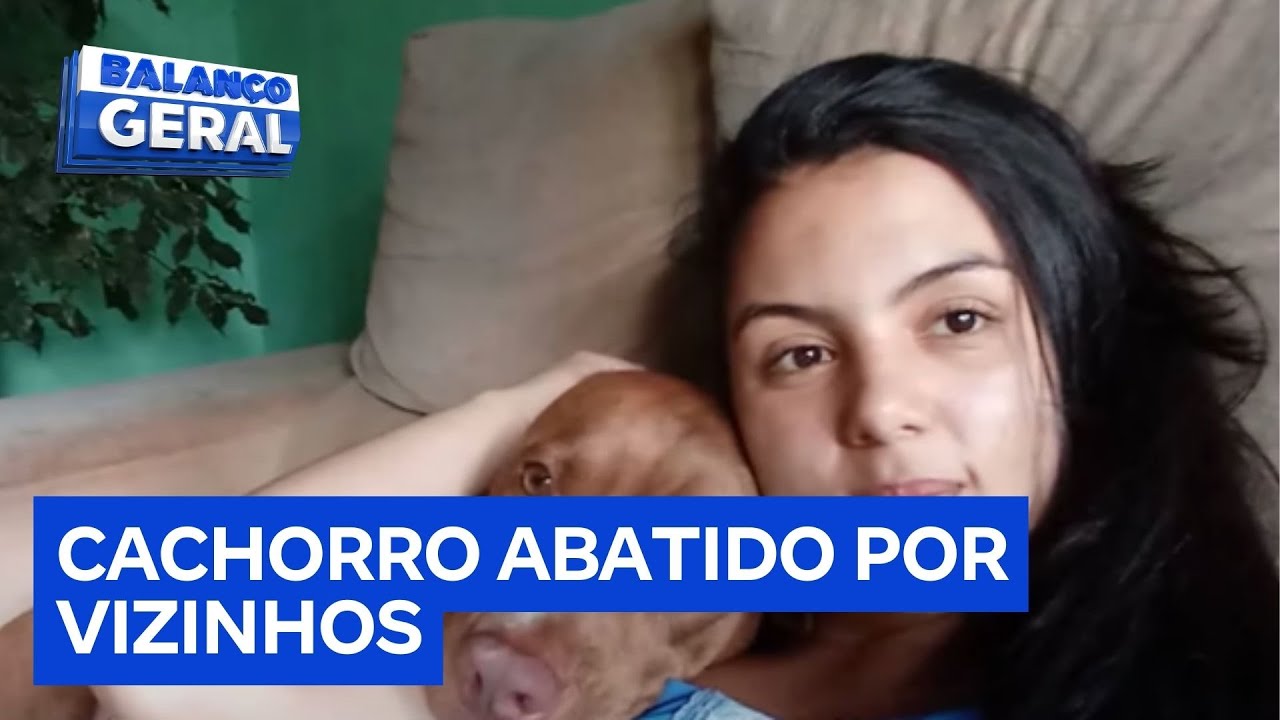 Mulher morre ao ser atacada em casa pelo próprio pitbull