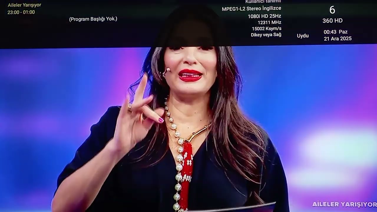 Televizyon Format Kurulum Uydu Çanak Anten Tarama Next Google TV Satellite Antenna Scanning Setup