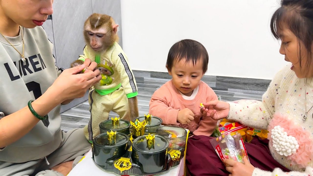 Monkey Kaka and Diem enjoy candies in preparation for Tet