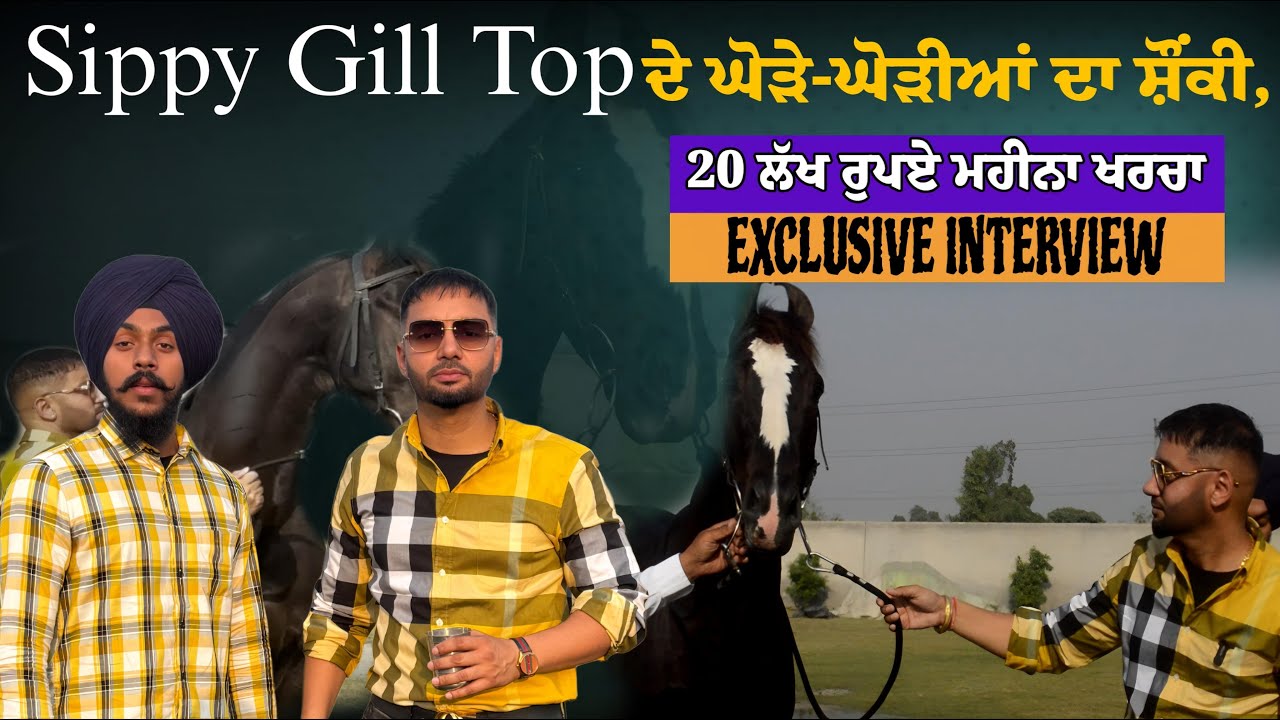 A day With Sippy Gill , Horse Riding , New Punjabi Movie Gangland 2025 #sippy_gill #sippygill