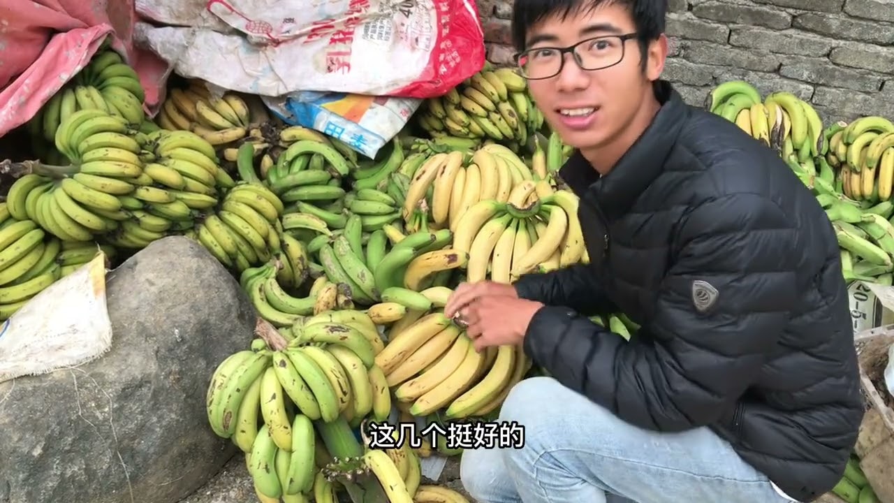 要不是骑行云南，都不知道香蕉居然是喂猪的，那就吃一回猪食嘿嘿#喂猪 #云南 #我要做爆款 #vlog十亿流量扶持计划 #露营 #穷游