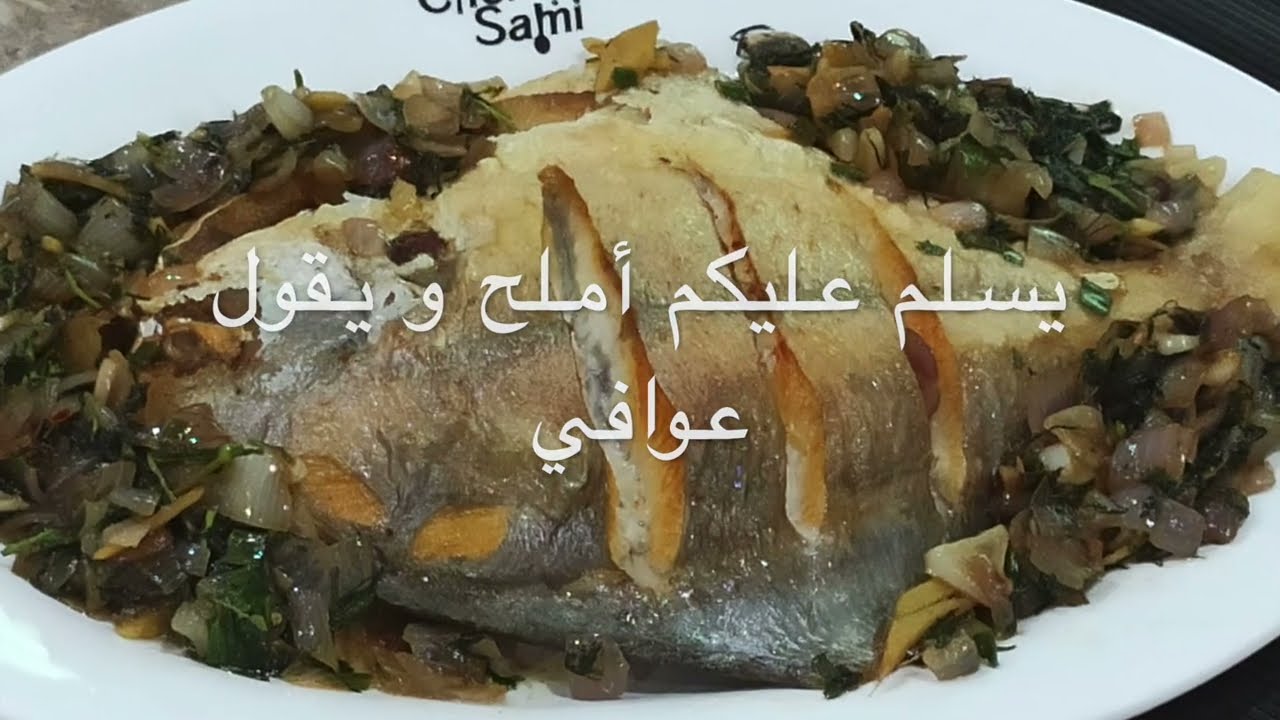 زبيدي .....   ليش كل كويتي يحترم سمكة الزبيدي؟