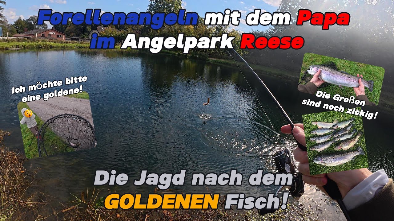 Forellenangeln mit dem Papa im Angelpark Reese #ulfishing #angeln #trout #troutfishing #forelle