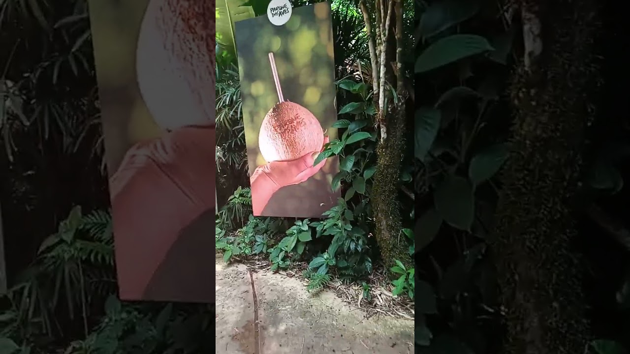 Indo no parque das aves, milk e floquinho 