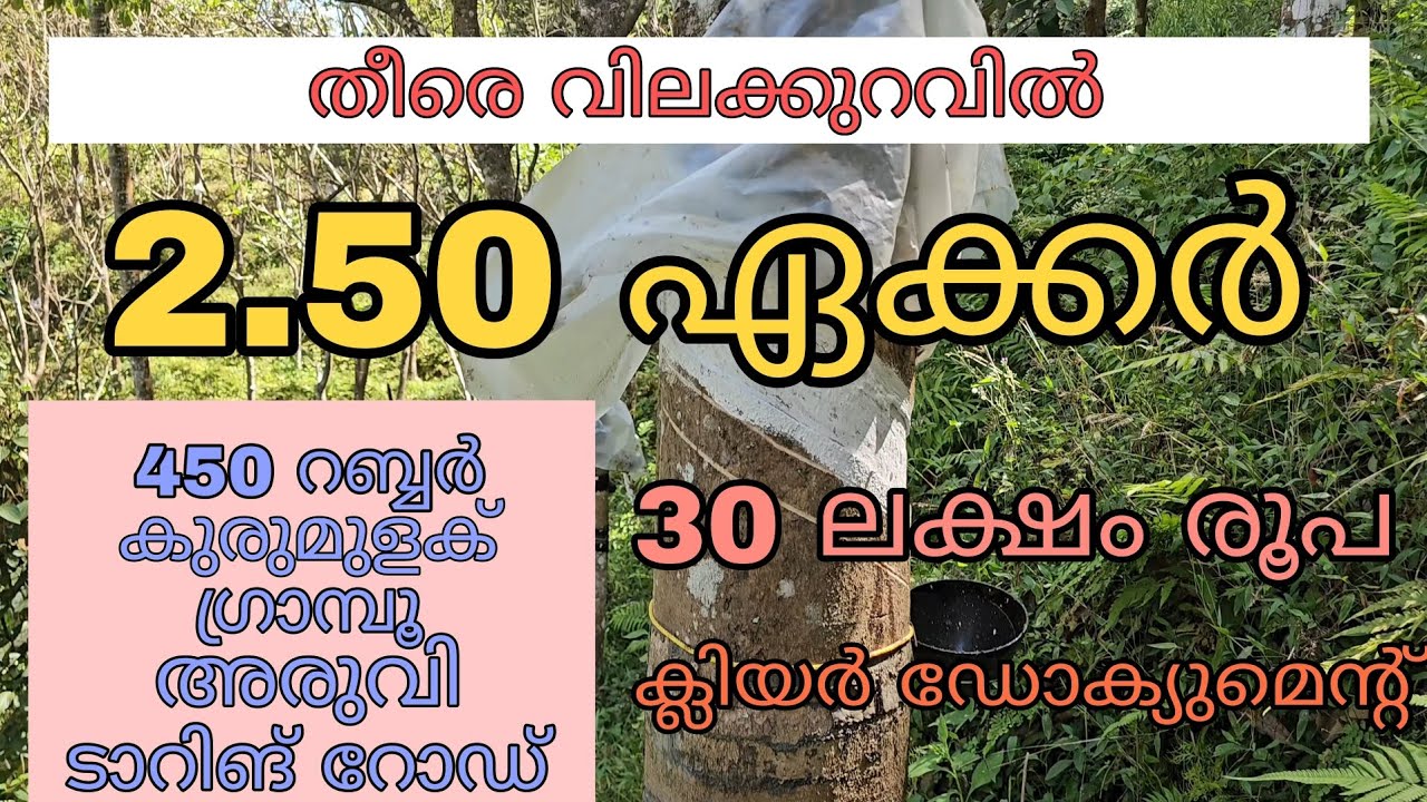 30 ലക്ഷം രൂപയ്ക്ക് 2.50 റബ്ബർ തോട്ടം വിൽപ്പനയ്ക്ക്