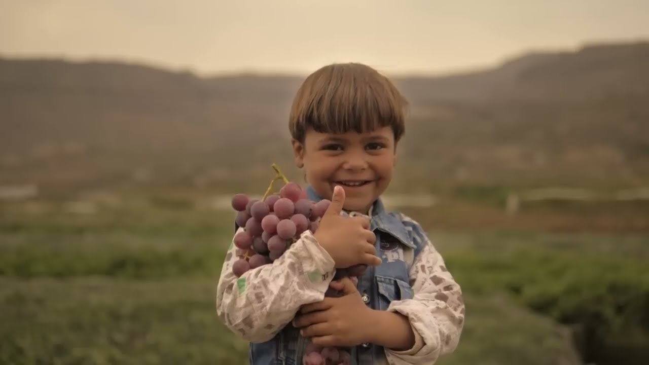 عنب اليمن |Yemeni Grapes