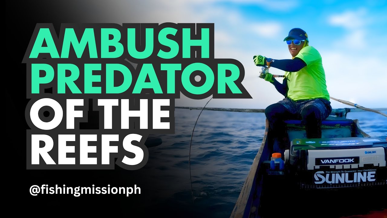 Slow Pitch Jigging Grouper Full Fight - TDFS Slayer Jigging Rod