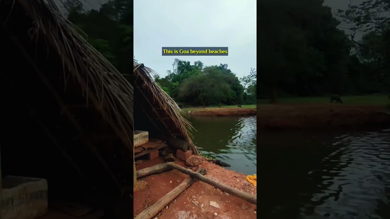 Gusse the place #goavlogs #goa