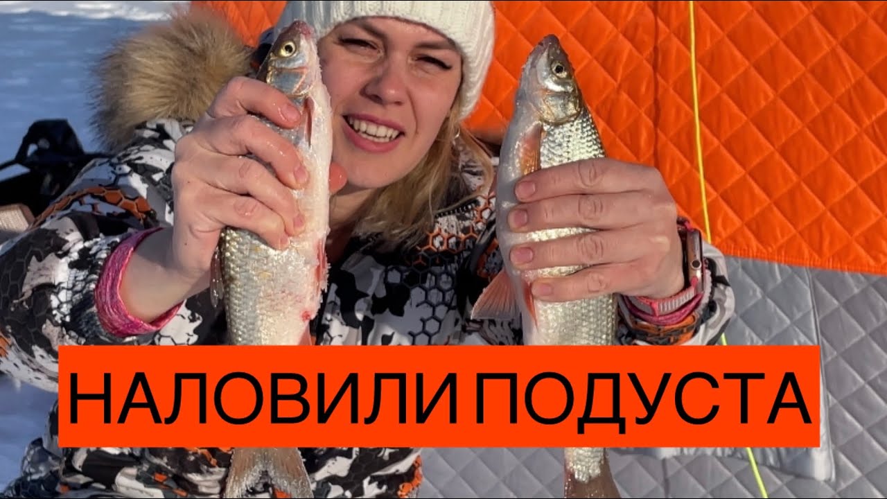 НАЛОВИЛИ ЗАЧЕТНОГО ПОДУСТА, СОРВАЛСЯ КРОКОДИЛ, А ПОСЛЕ РЫБАЛКИ ЗАЕХАЛИ НА ФЕРМУ К ДРУЗЬЯМ☺️