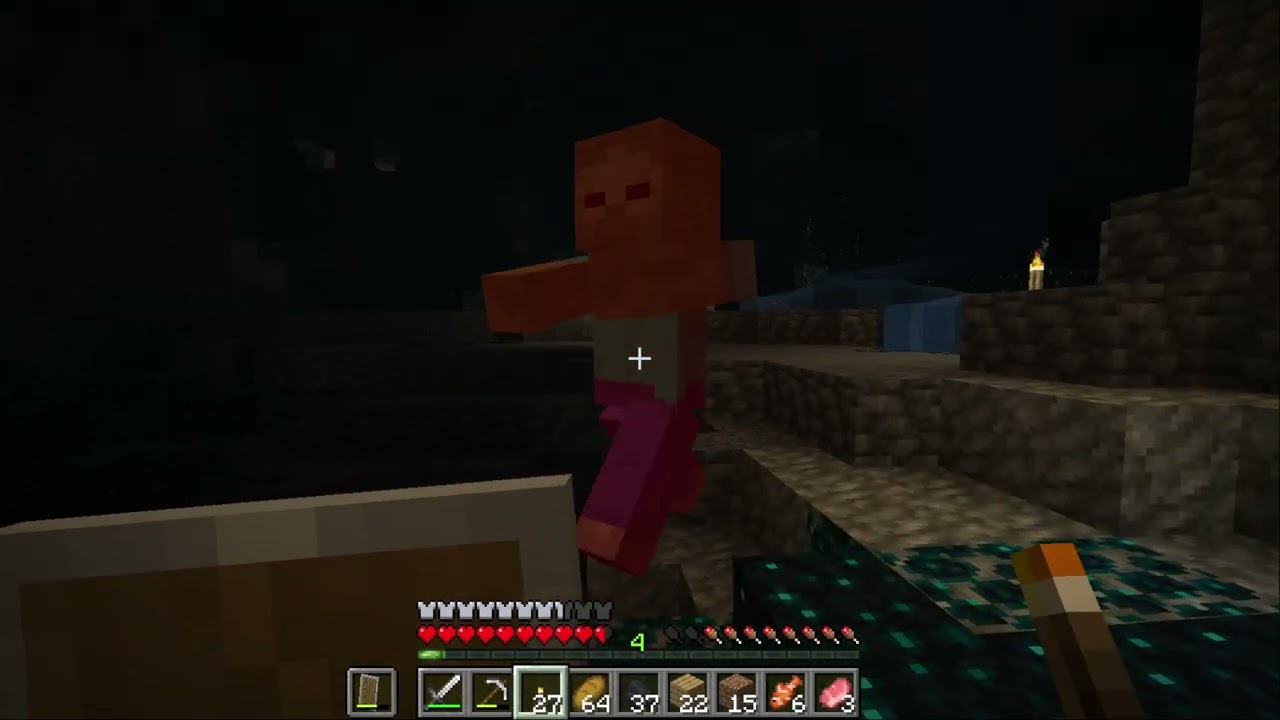 Minecraft #12