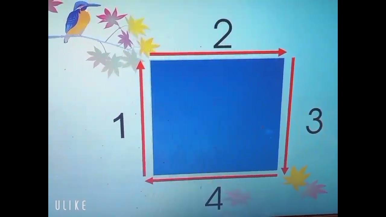 hương dẫn trẻ NB-PB các hình