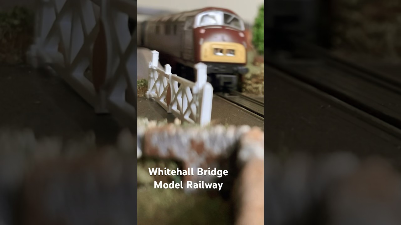#railmodel #ngauge #model #railway #trainfans #diesel