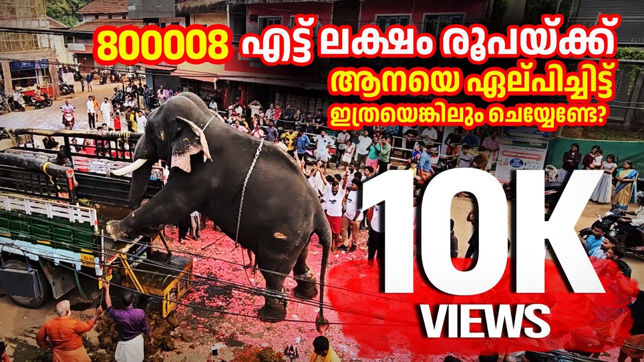 എട്ട് ലക്ഷം രൂപയ്ക്ക് ആനയെ ഏല്പിച്ചിട്ട് ഇത്രയെങ്കിലും ചെയ്യേണ്ടേ? | Kadavooran | Kattakampal Pooram