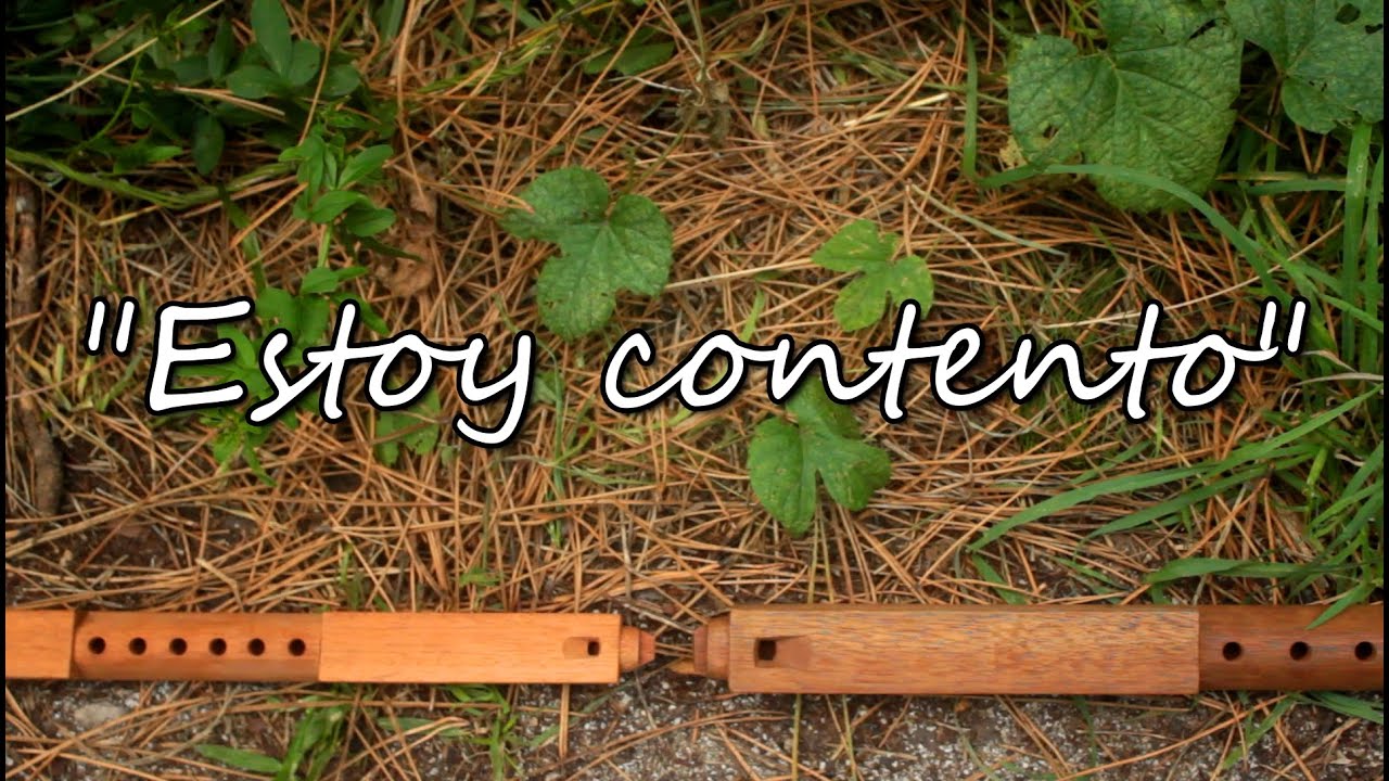 Estoy contento (anateada / tarkeada)