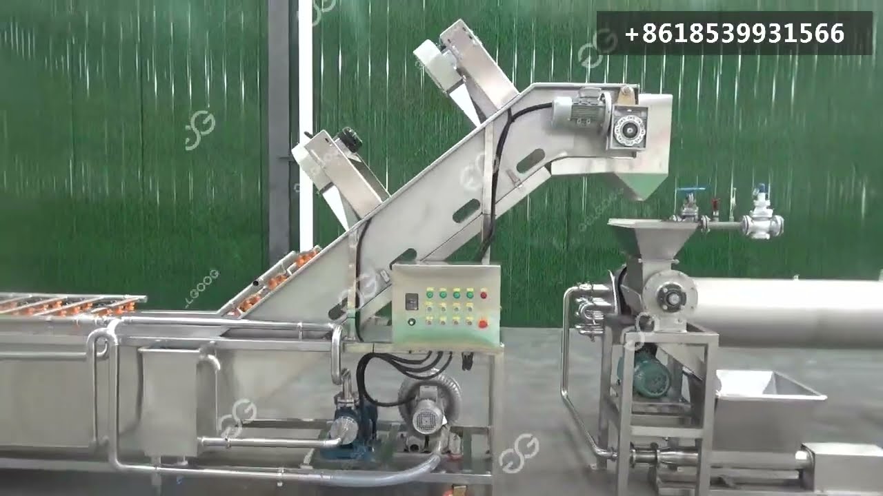 Chili Sauce Processing Chili Farming Processing of Chilli Sauce