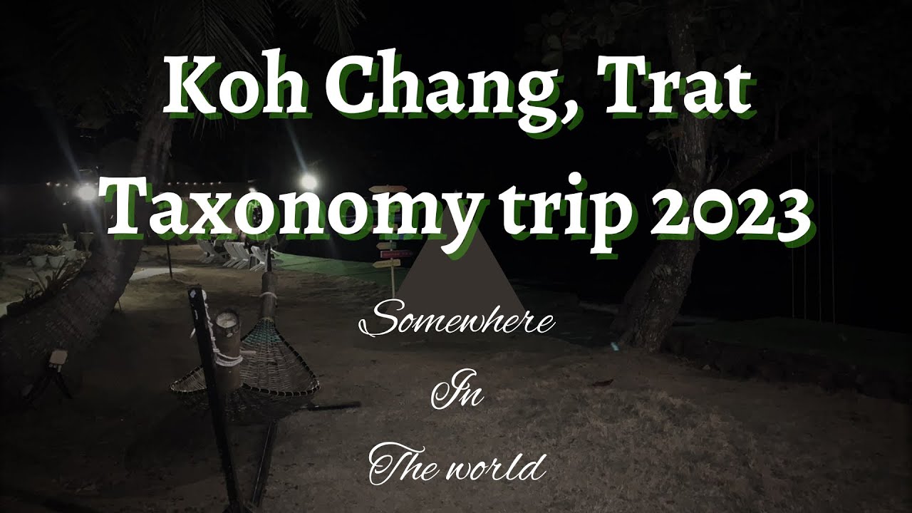 เกาะช้าง Taxonomy trip 2566