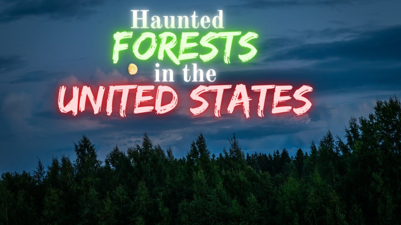 Haunted Forests in the US