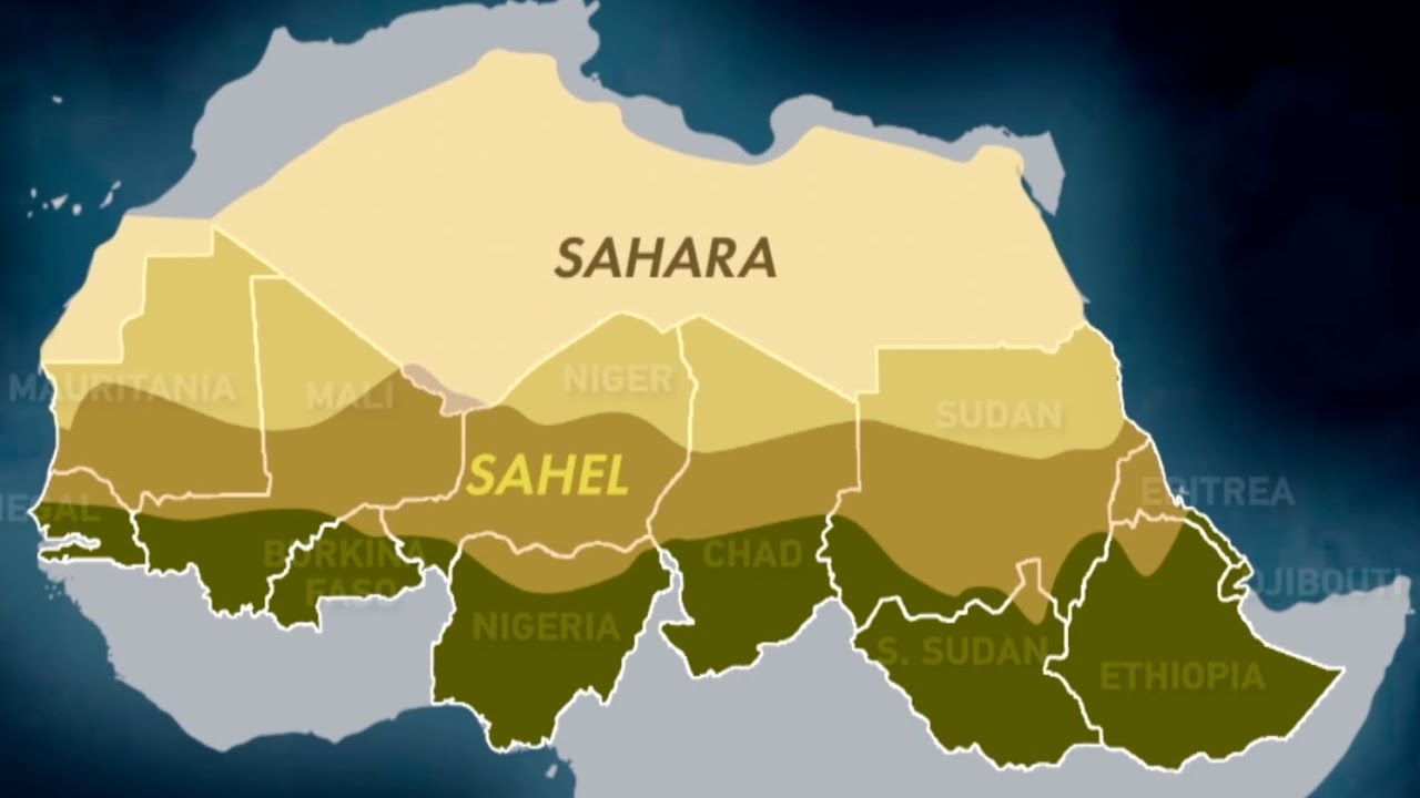 Grande muraille verte, expérience chinoise adoptée | CHINE AFRIQUE DEVELOPPEMENTS CROISES