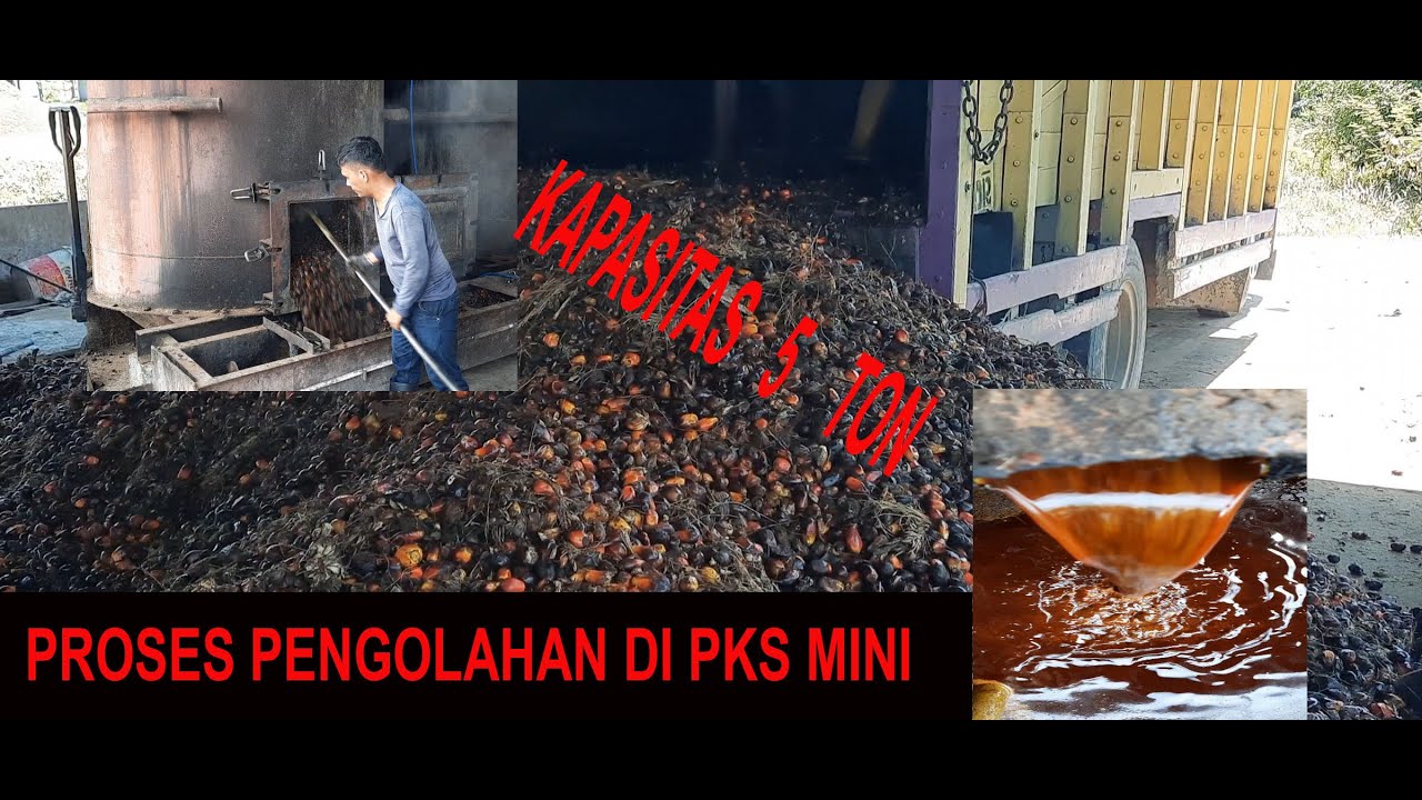 PABRIK KELAPA SAWIT | PABRIK MINI KAPASITAS 5 TON