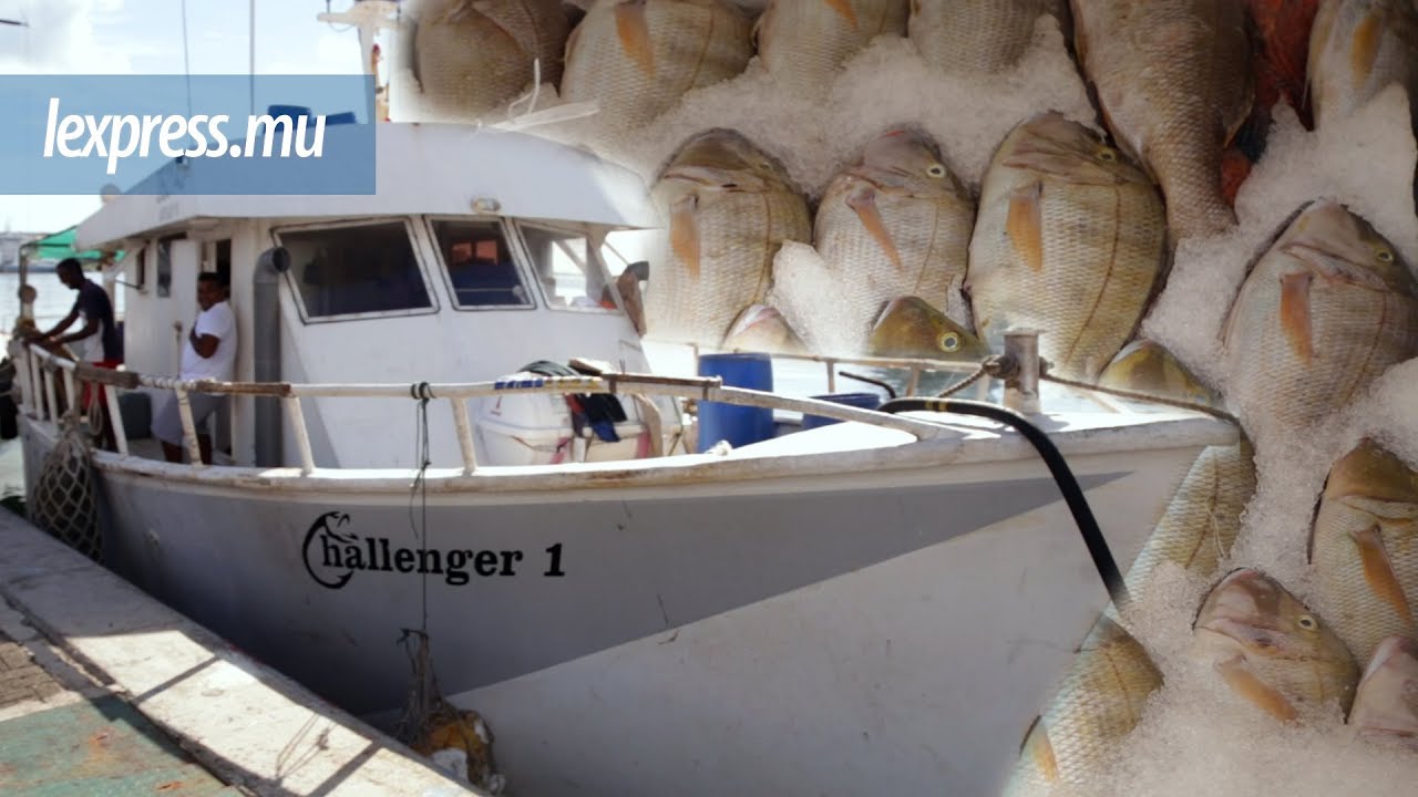 Pêche en haute mer: à la découverte du Challenger 1