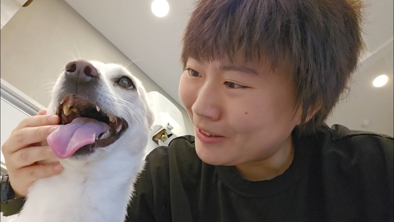 레전드 꿀알바해서 번 돈으로 쿠우쿠우 먹방 브이로그