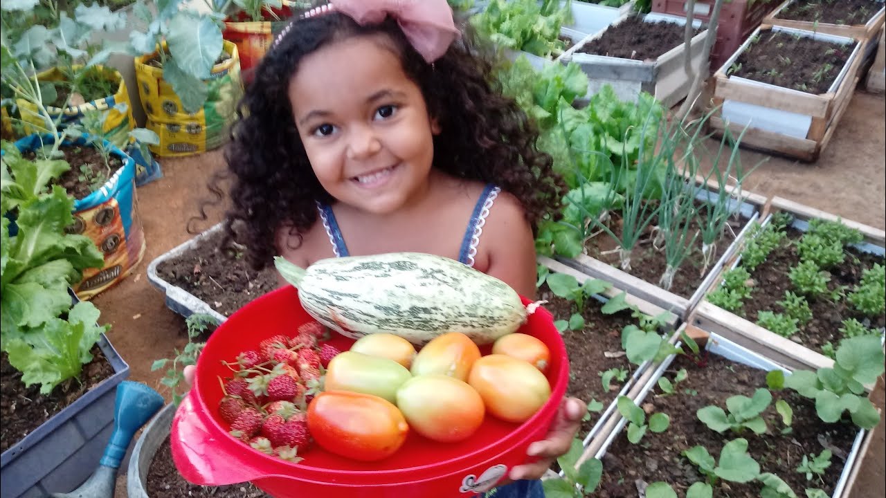 Como fazer muda de tomate por Estaquia, horta em vasos da Júlia