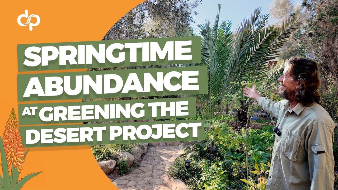 Springtime Abundance at the Greening the Desert Project