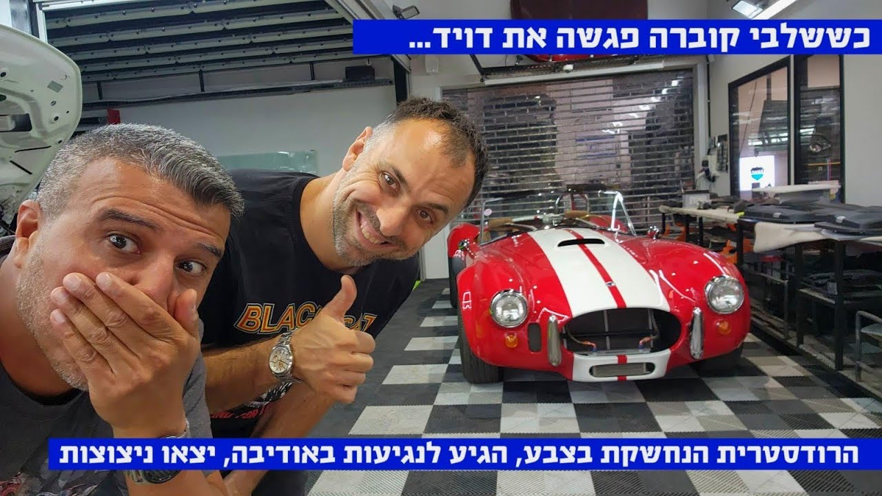 כששלבי קוברה פגשה את אודיבה. ניצוצות של אהבה