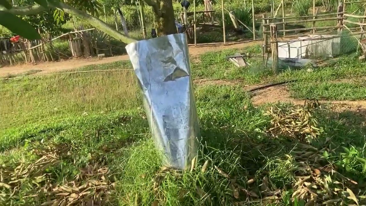 Lingkaran Bulatan Paksa Bunga