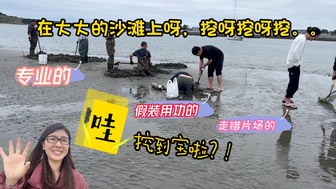 湾区赶海去哪里 | 这么容易就实现象拔蚌自由了？| 美国西海岸的沙滩遍地藏宝呢 | 没想到赶海也要这么拼