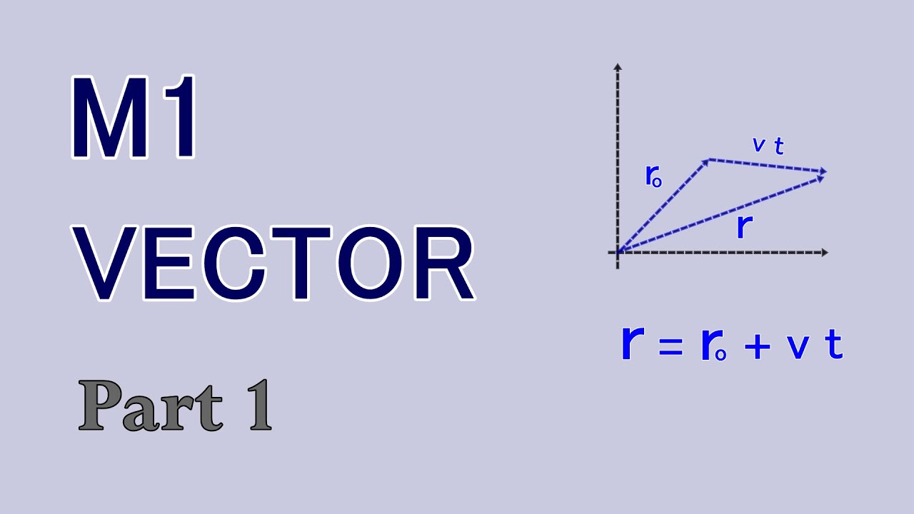 M1 VECTOR  [Part 1]