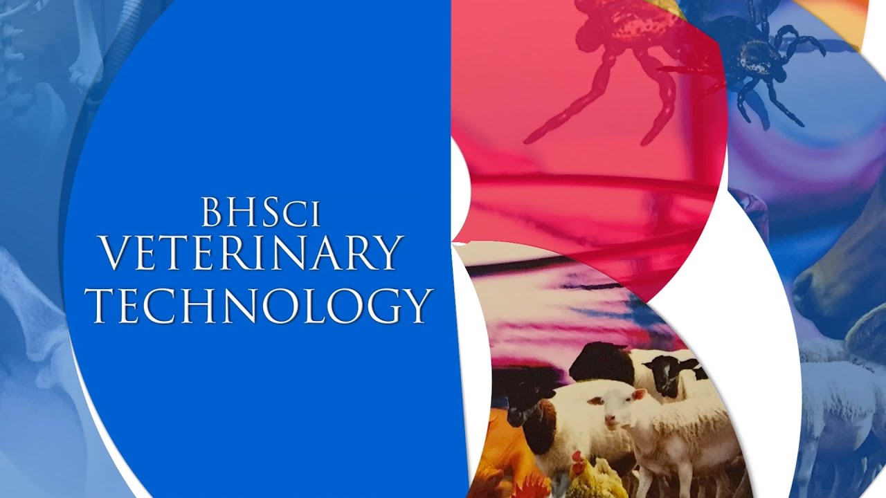 TUT Veterinary Technology: PROMO 2024