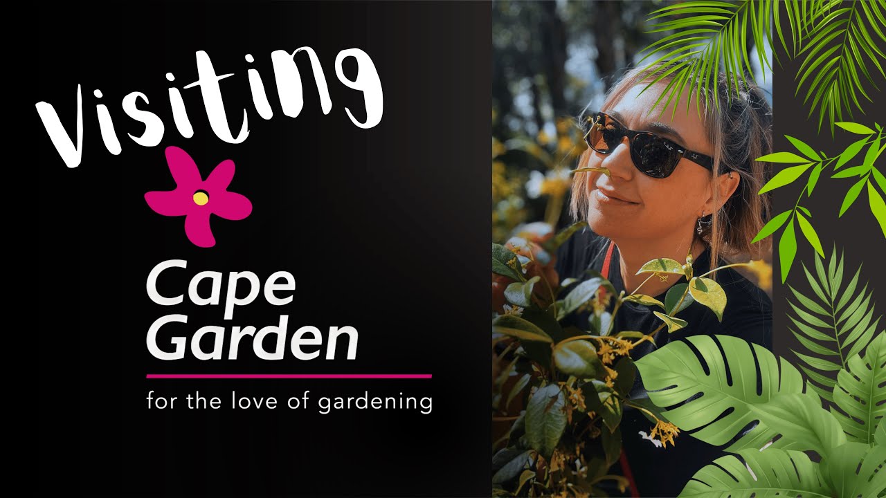A Peaceful Morning at Cape Garden Centre | Nursery Walkthrough in Joostenberg Vlakte