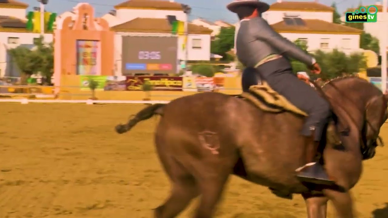 Presentado el XLVI Campeonato de Andalucía Absoluto de Doma Vaquera, que se celebrará en Gines