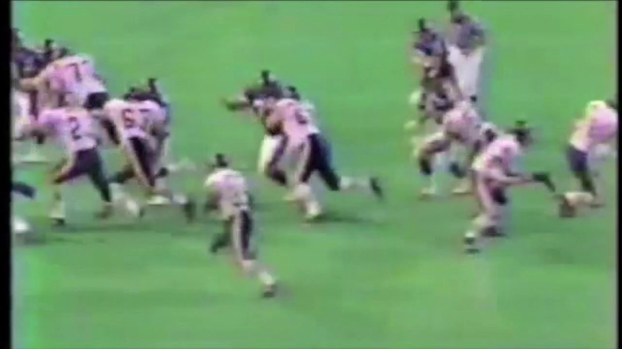 Neal Anderson Chicago Bears Highlights