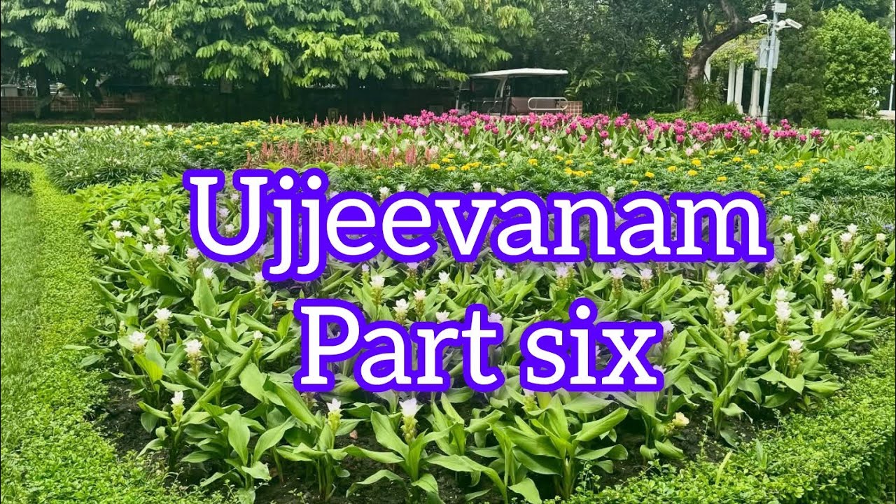 6. Ujjeevanam usha chandran noval. ഉജ്ജീവനം ഉഷാ ചന്ദ്രൻ നോവൽ.