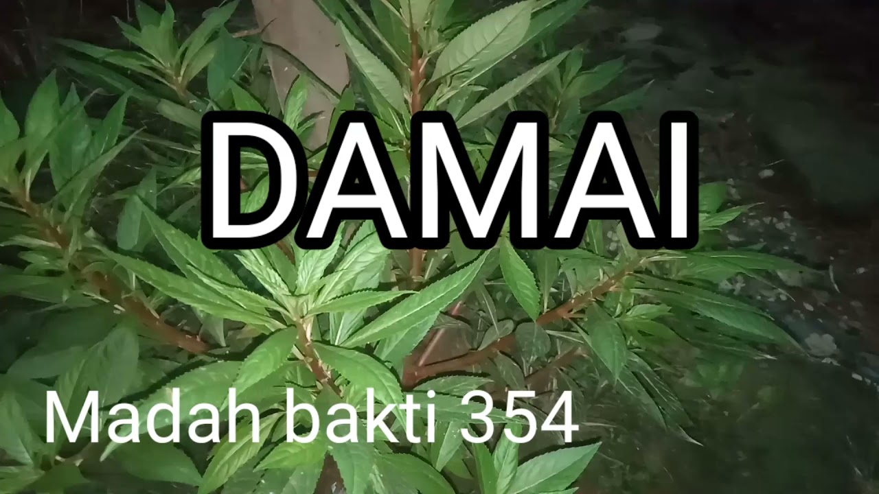 MB 354/Damai/Natal/instrumen, karaoke lagu rohani dengan lirik tanpa vokal/cover