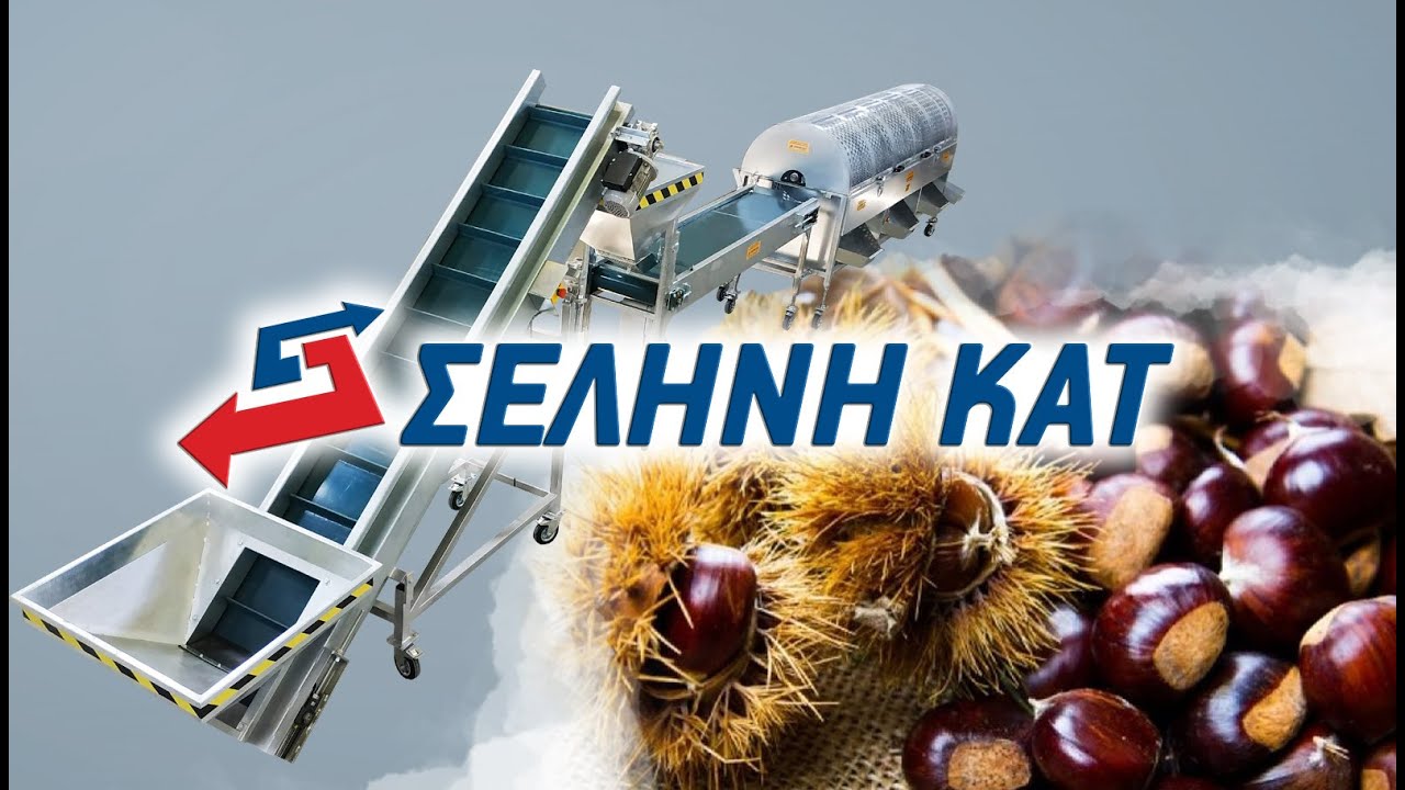 Κόσκινο καστάνου  2022