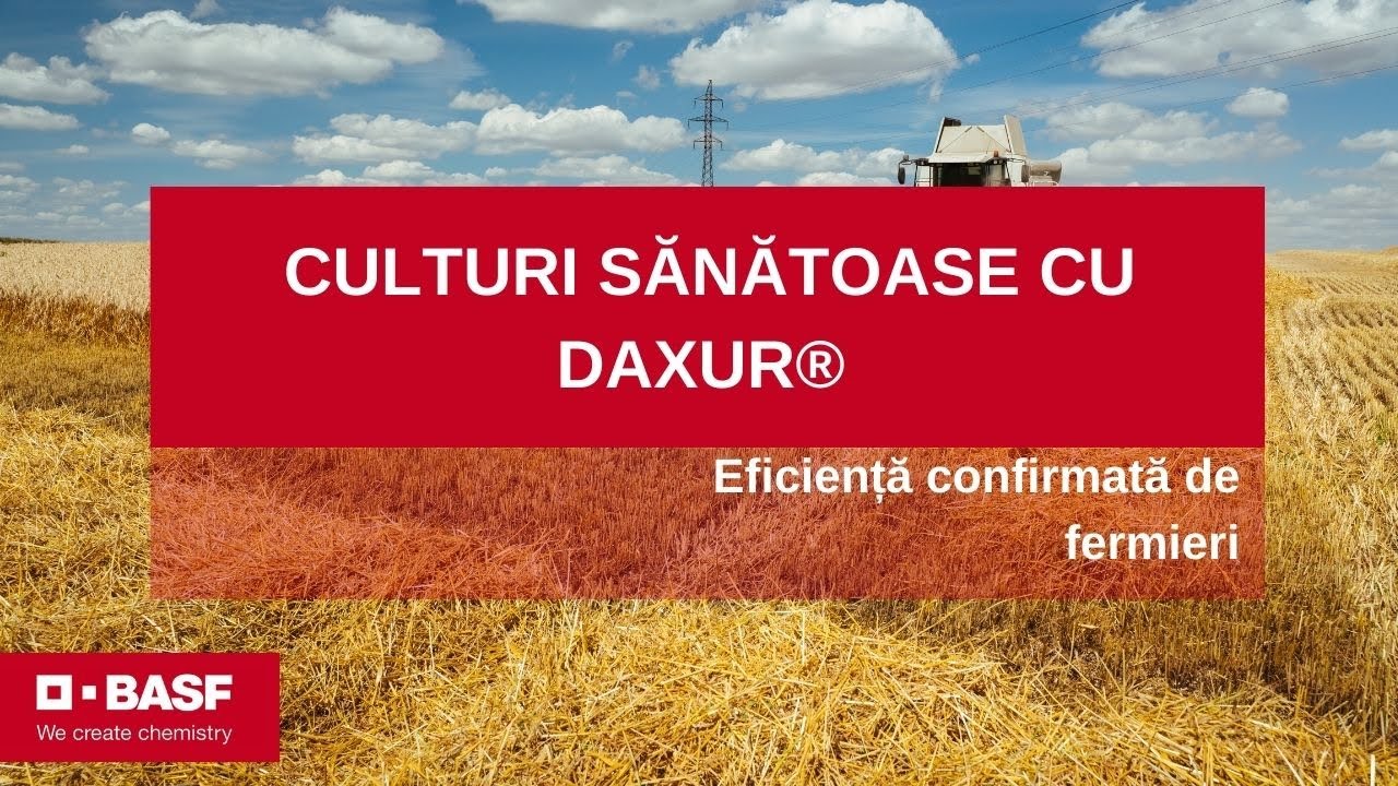 De ce aleg fermierii fungicidul Daxur® pentru protecția cerealelor?