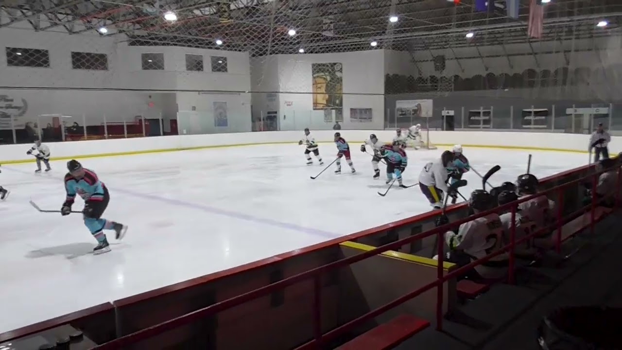 Flamingos v. Iguanas 2.15.26