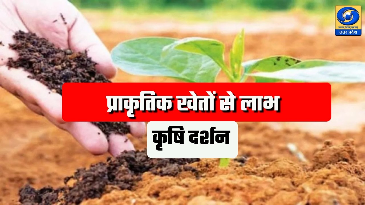 🔴प्रधानमंत्री किसान सम्मान निधि | कृषि दर्शन | Krishi Darshan | DDUP