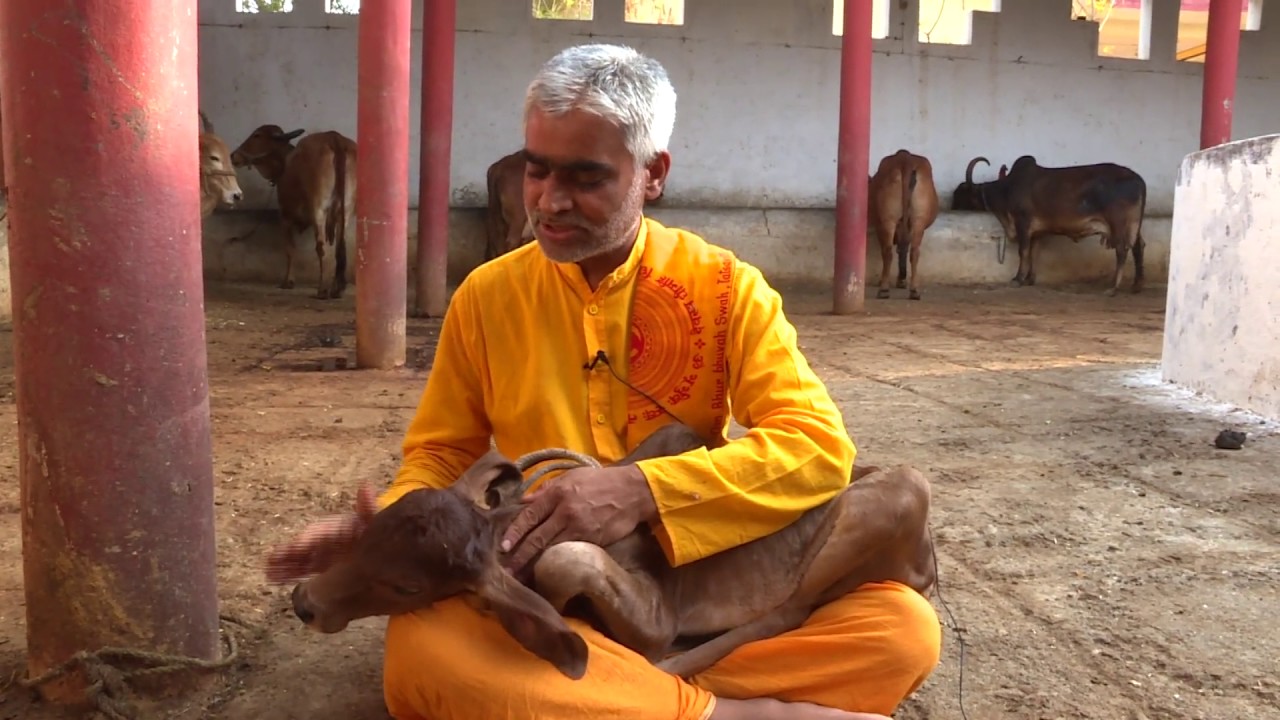 Bachhiya ka nam kran@ Gayatri Dham
