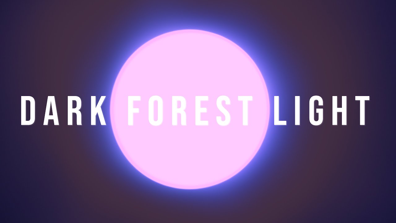 Dark Forest Light | Dustin Kochel