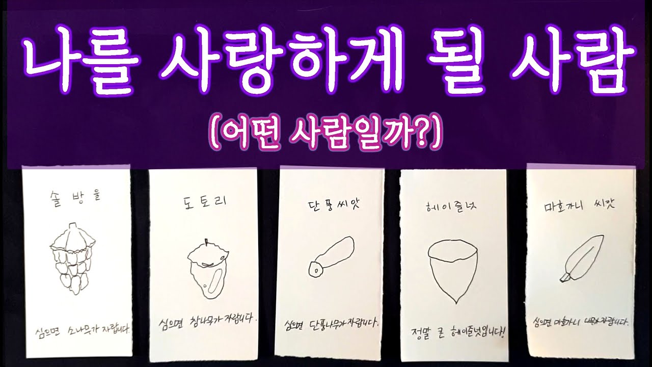 [타로🛁]곧 나를 사랑하게 될 사람💖 언제 올까