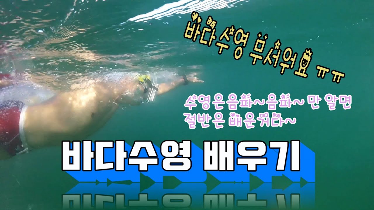 바다수영 시작하자!! 바다수영 배우기